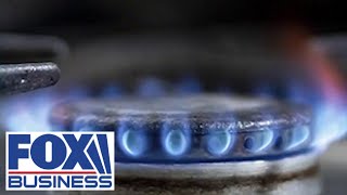 Is the US government really considering a ban on gas stoves?