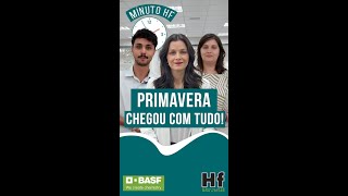 MINUTO HF: Chuva e calor afetam oferta e preço de frutas e hortaliças