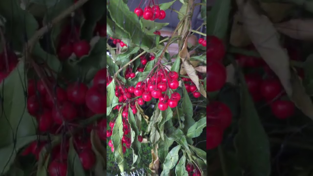 Jiangsu Three Sheep Garden Products Co.,Ltd