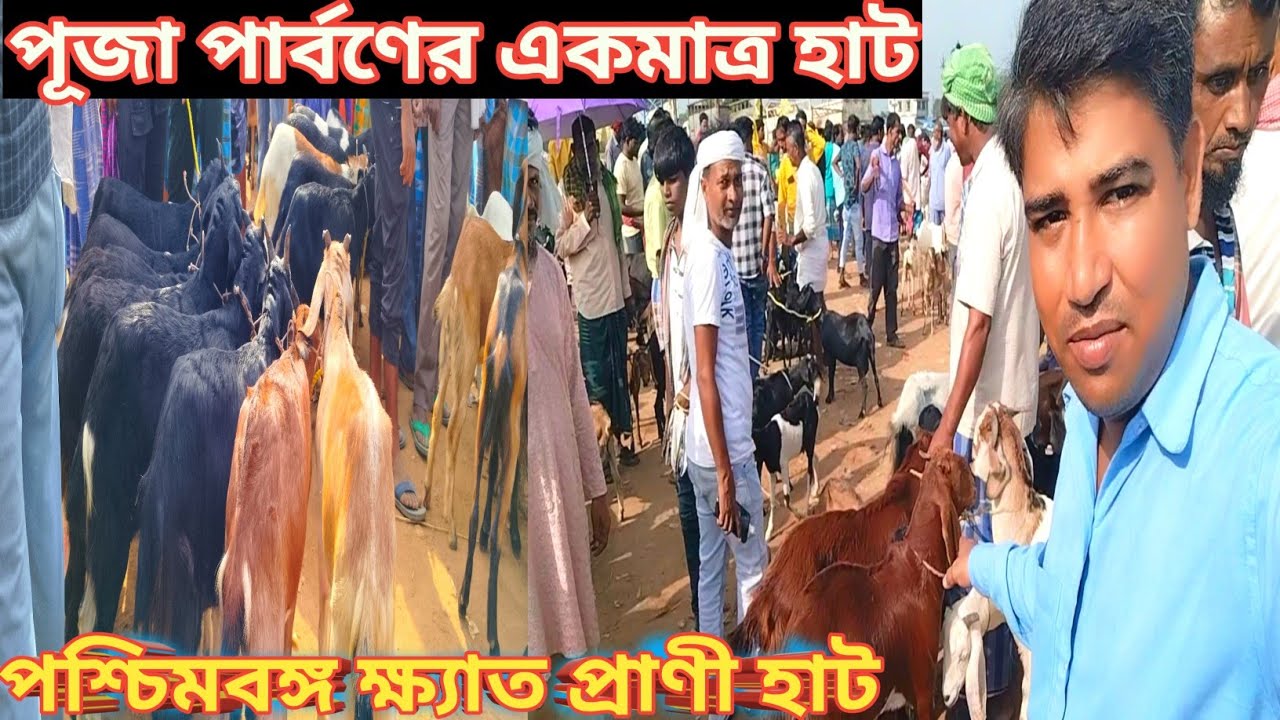 পুজো ও উৎসবের মাংসের চাহিদার একমাত্র হাট!পশ্চিমবঙ্গ ক্ষ্যাত প্রাণী বাজার!সুখবাজার