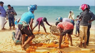 Fishers fishing in the Nagar Kovil sea coast , old reminder (2019)