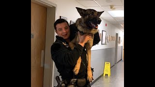 Meet Officer Zacharia and his K9 Partner Rico