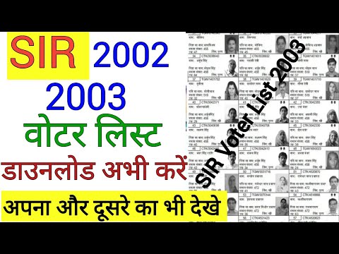 2002            2003         2002 2003