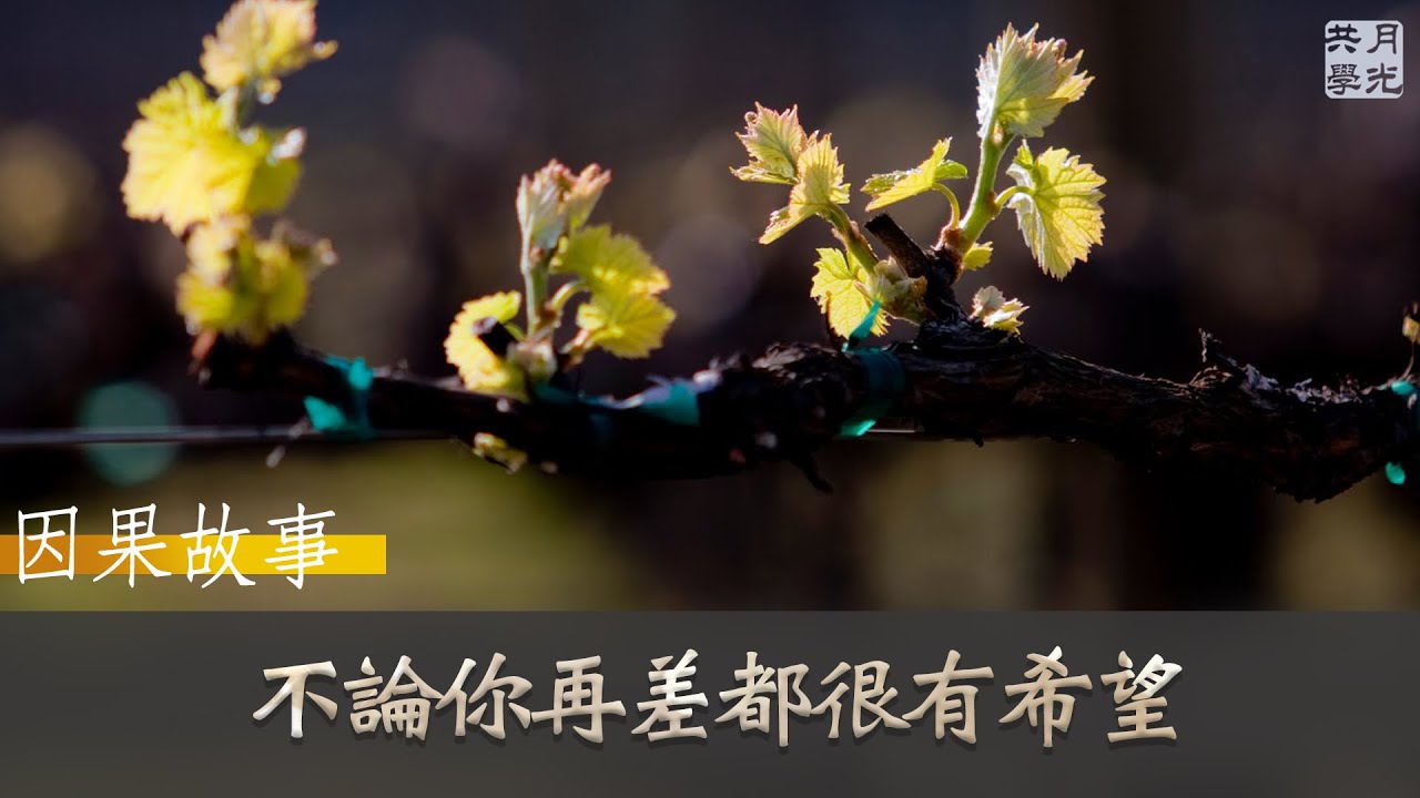【因果故事】不論你再差都很有希望．福智 如俊法師導讀