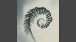 Fern Unfolds