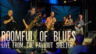 'Why Don'tcha Stop It' - Roomful Of Blues