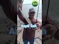 Aapti fish 🐟#catch 🪝#fishing 🎣#short video 😭📸#