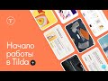 Создание сайта в Tilda Publishing: начало работы