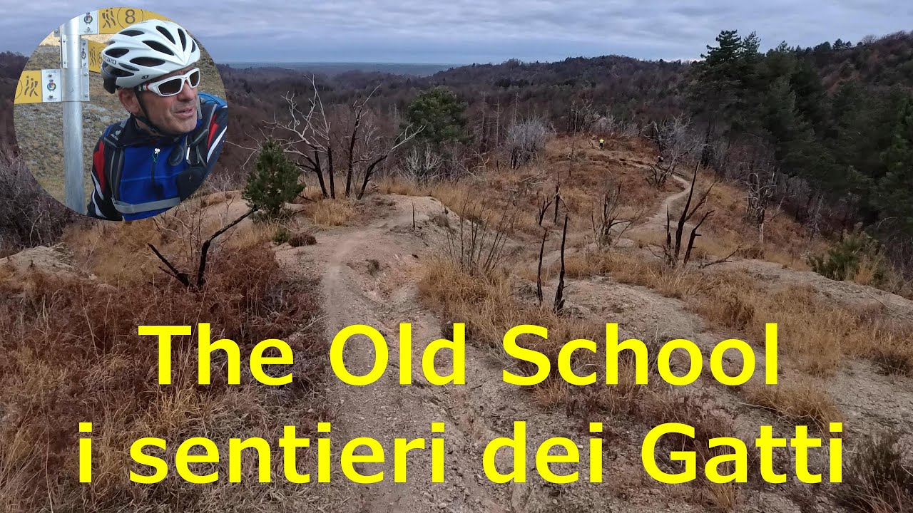 I Sentieri dei Gatti: Old School - Bavash - Benzinaio - Dal Mei - Covid - Cuccu. MTB a Gattinara