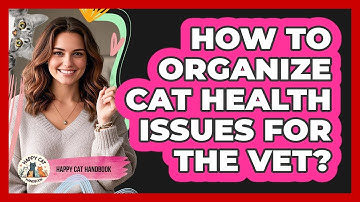 How To Organize Cat Health Issues For The Vet?