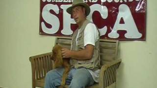 COMCAST/CCSPCA Adoption Video Shoot