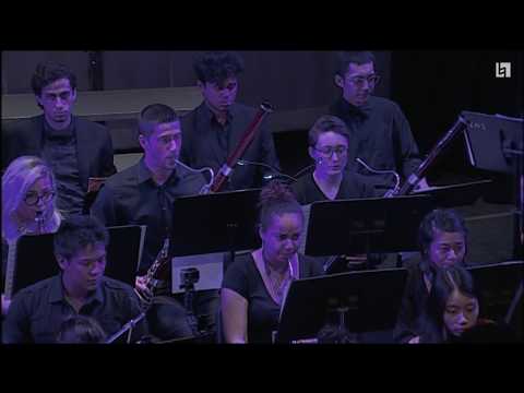 Harry Potter Sountrack Orchestra - The Music Of Harry Potter - 3/10/2016 SOLDOUT