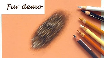 How to draw fur with pastel pencils | Drawing tutorial | Leontine van vliet