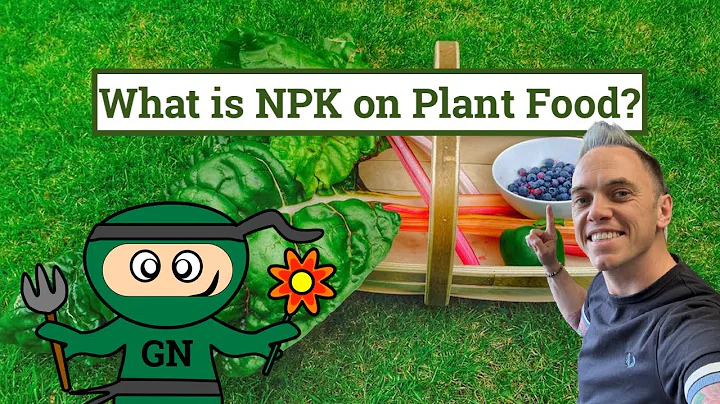 Uncover the Secrets of Plant Food: What is NPK?