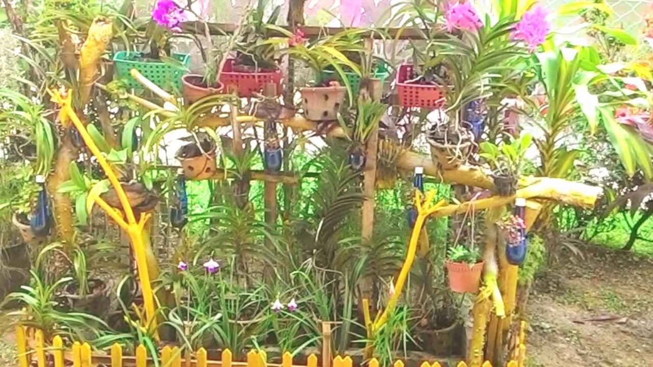 Idea Utk Taman Mini Youtube