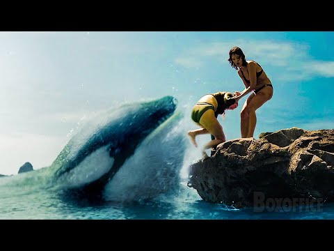 Killer Orca TERRORIZES 2 young women