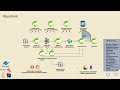 Implementation details for each microservice