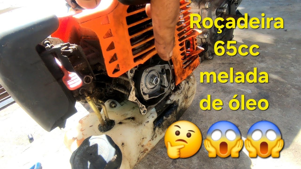 Roçadeira 65cc com vazamento de óleo 😱🤔 @lcservice01