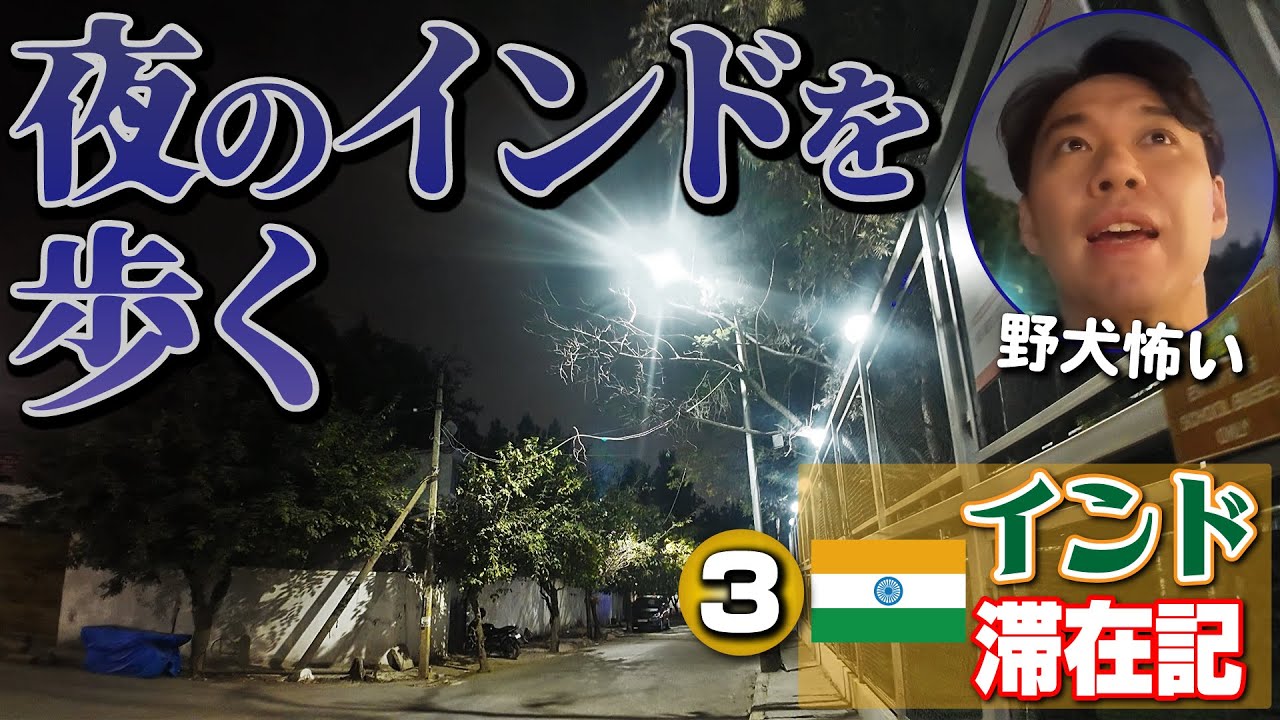 用事はなくとも撮れ高を求め外出！ 野犬を警戒しながら夜の町を歩く！ 【インド滞在記・③】