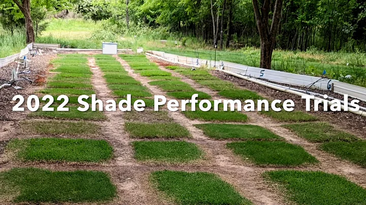 2022 Turfgrass Shade Performance Trials
