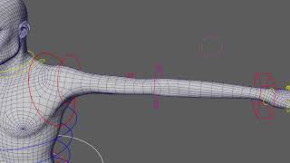 Auto rig Demo