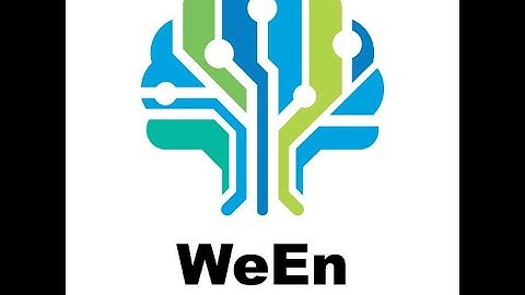 WeEn Semiconductors Company Introduction