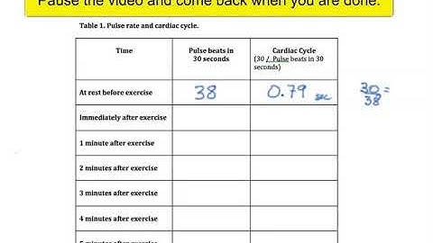 Apologia Exploring Creation with General Science 2nd Edition Experiment 14 1