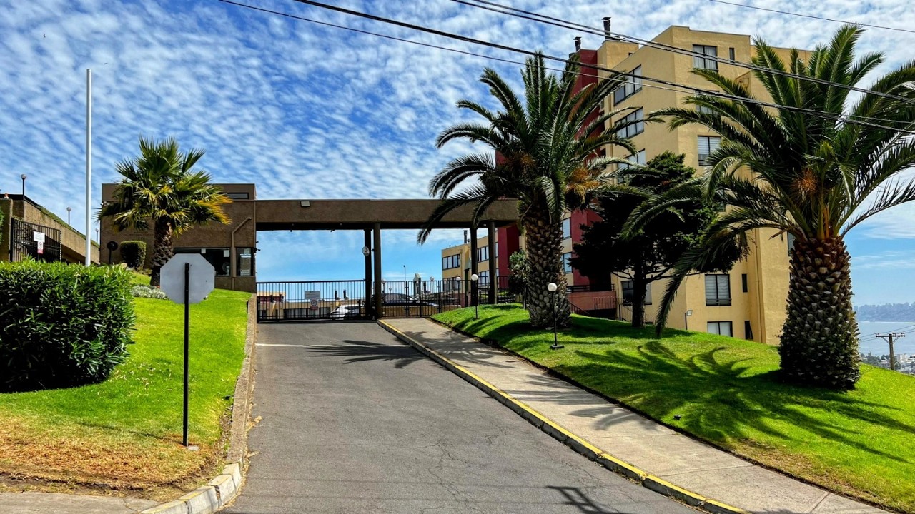 Una vista que se roba todas las miradas en Viña del Mar