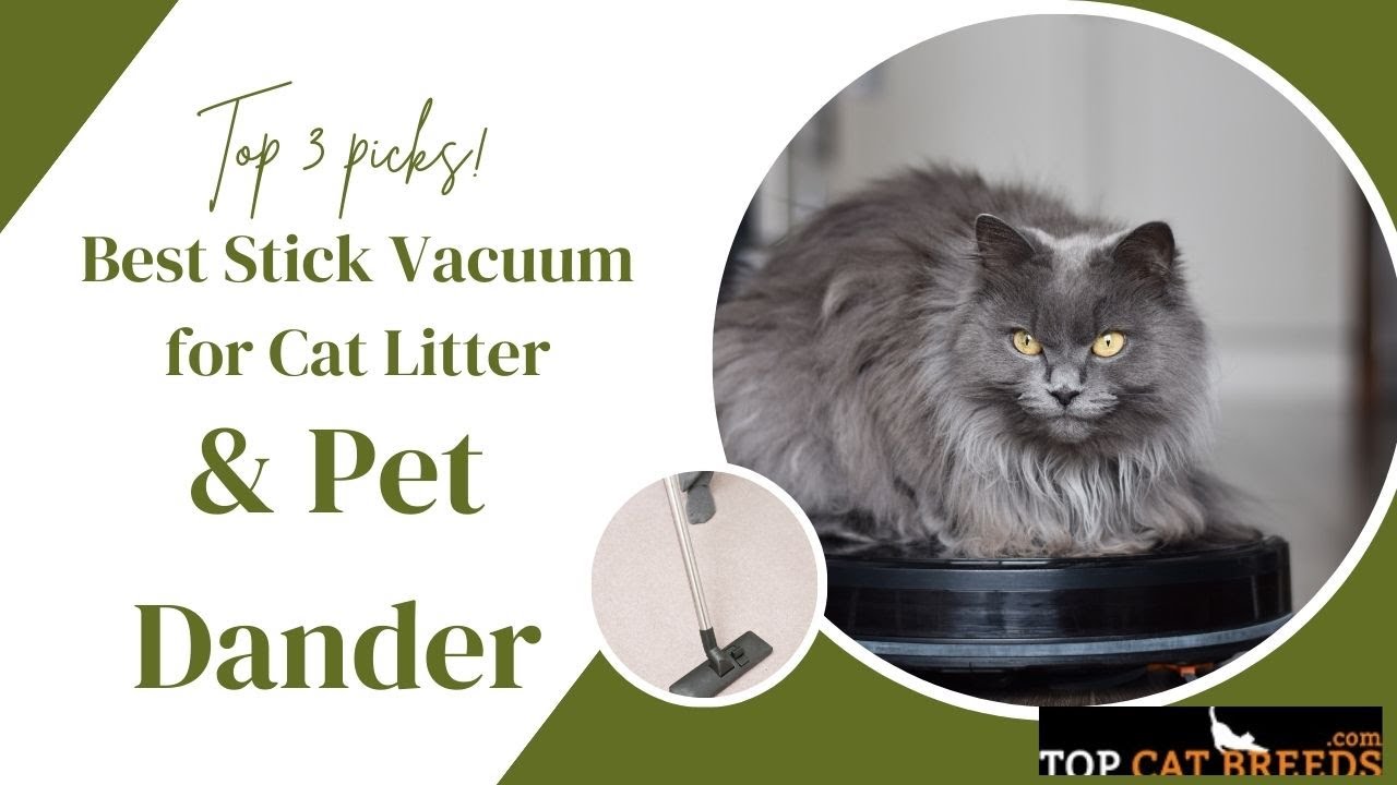 3 Best Stick Vacuums For Cat Litter Pet Dander YouTube