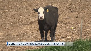 Senator John Thune On Beef Tariff Waiver - 9/2/2026