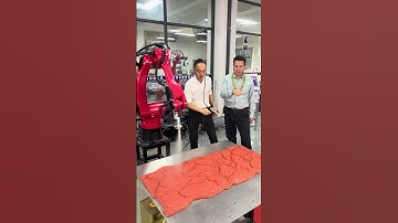 #borunte #robot #shorts #automobile #industrial #