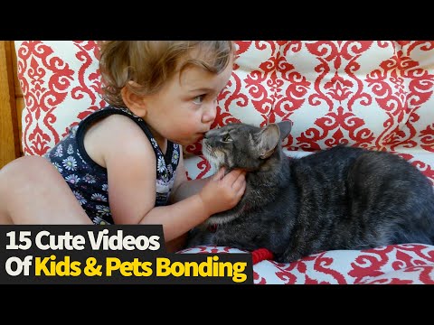 Top 15 Adorable Moments Of Kids Bonding With Their Pets