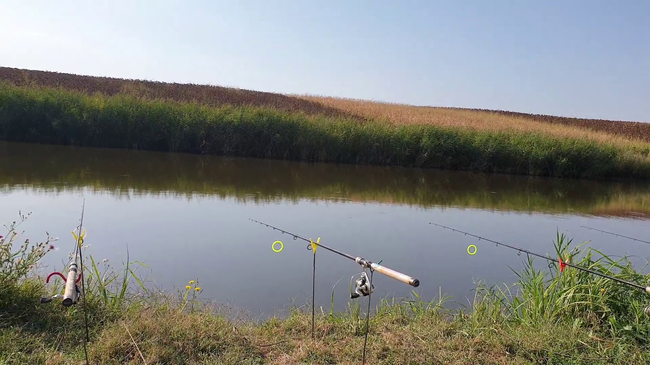 Trăsături si Rateuri !