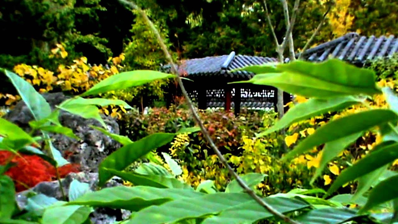 Hortus Haren - Chinese Garden - 2015