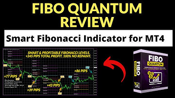 FIBO QUANTUM, Fibo Quantum Scalper Indicator Review