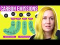 What are scope 1 2  3 emissions in sustainability made simple