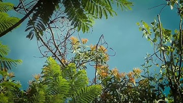 تلاوة جميلة. من أول سورة البقرة.. فهد المطيري