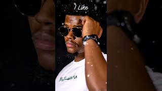 Stige Lebaka  I Like  Visualizer