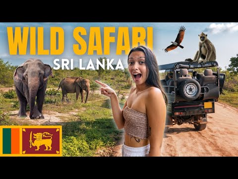 🇱🇰 Our First Ever Safari Experience! Sri Lanka has it all !!
