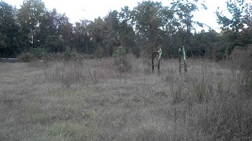 2k2 Cocker w/ Q-loader