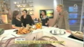 Nyhetsmorgon Tv4 Med Katarina Widoff Som Mingelexpert