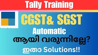 #Learn Tally Prime | Cgst& Sgst Auto calculation Problem in Tally Prime? മലയാളത്തിൽ! screenshot 5