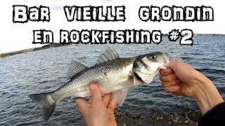 Session rockfishing en Bretagne #2 : Bar, vieille, grondin au leurre souple