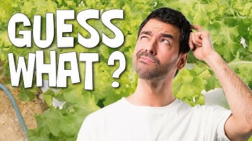 Explaining the Nitrogen Cycle