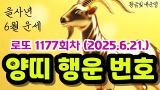 양띠로또번호 로또 1177회 예상번호 ‘이 번호’ 재물운이 좋습니다ㅣ6월 21일 양띠 로또 운세 로또행운번호 로또 당첨 예상번호 공개 양띠 운세 로또당첨번호 로또1등