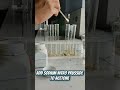 Functional group analysis - Class 12 chemistry practical #experiment #organicchemistry #acetone