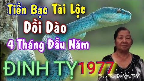 Đánh giá nam đinh tỵ 1977 năm 2024