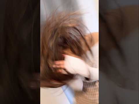 아이브의 막내로 산다는 건 IVE 아이브 ANYUJIN 안유진 REI 레이 LIZ 리즈 LEESEO 이서 Shorts 