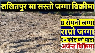 ललितपुर मा सस्तो  ८ रोपनी जग्गा बिक्रीमा land on sale in lele lalitpur | real estate nepal | jagga