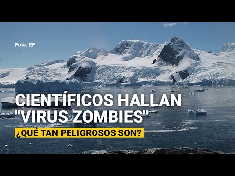 Video: ¿Puede el pithovirus sibericum afectar a los humanos?
